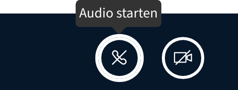 Abbildung des Audio starten Buttons